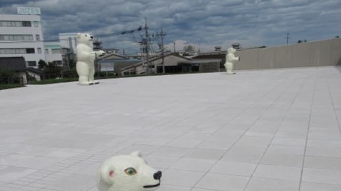 【富山】富山県美術館三匹の、屋外展示のANIMALSしろくまと「たいめいけん」