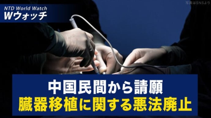 動画サイト・ガンジンワールドコンテスト受賞者発表/中国民間で1万人、臓器移植に関する悪法廃止を訴える など|NTD ワールドウォッチ(2024年2月14日)