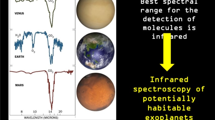 系外地球から系外金星まで -- 反射光のフラックスと偏光シグネチャ