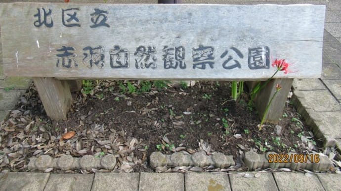 古民家といろいろな木の実~赤羽自然観察公園