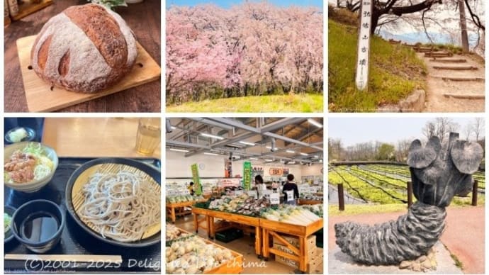 弘法山古墳の桜~水汲みドライブ