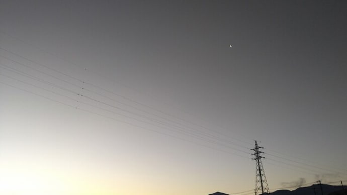 ホトケノザの空