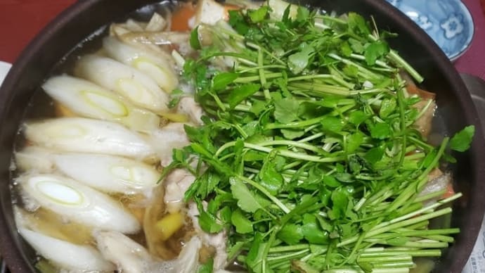 シンプルセリ鍋とセリ卵とじ…明太子パスタ