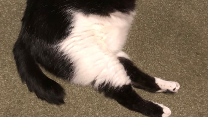 早朝の2度ね、、、。