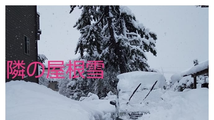 さすがに怖い大雪