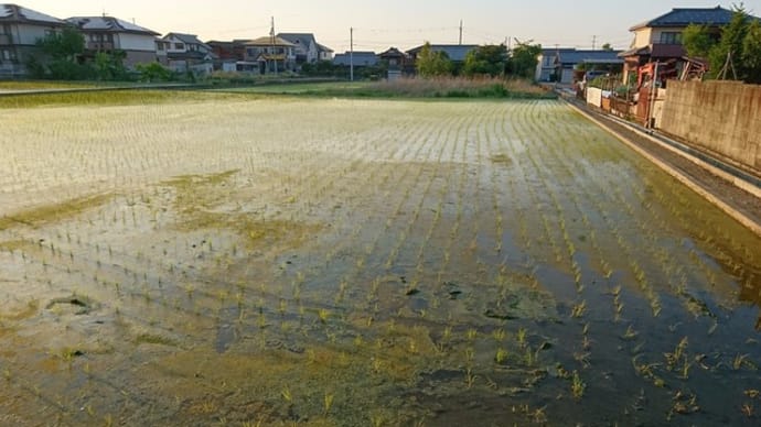 農家の人は・・・