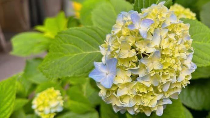 6月交流会のお知らせ