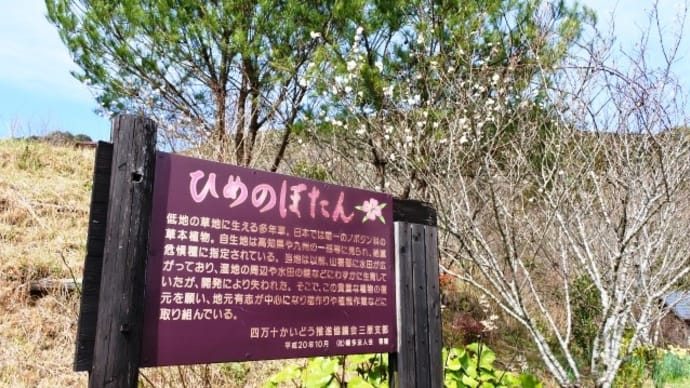 三原村「星ヶ丘公園」の春景色