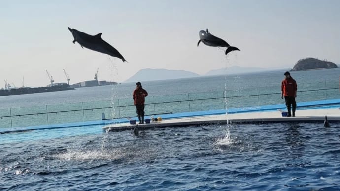 散歩&水族館