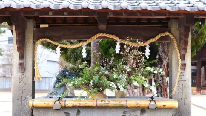 【草月流】花手水が春のいろどりに
