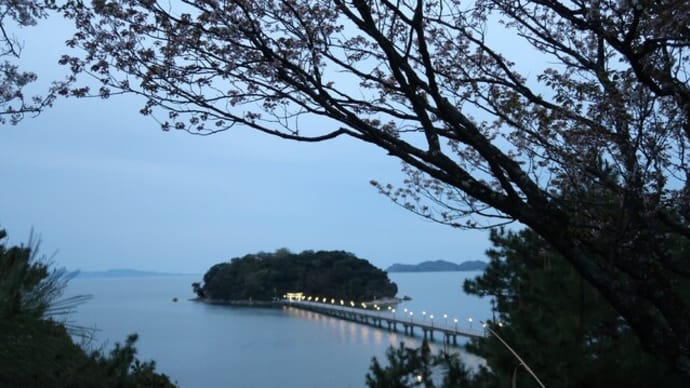 蒲郡に一泊⑤~夜の竹島