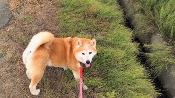 長野から戻ってきました・・・
