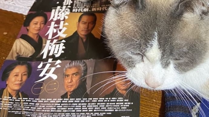 早起きして映画へ、下界は夏日😅