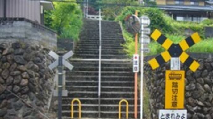 白山ロード^^永平寺町-6