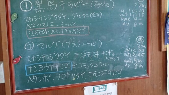 20231026ダイビングログ