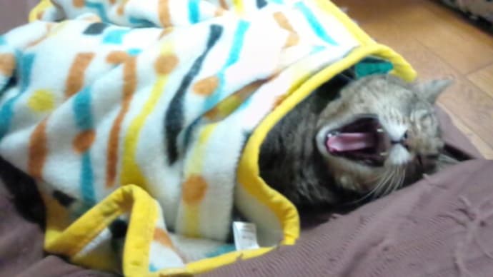 おかあさんは過保護