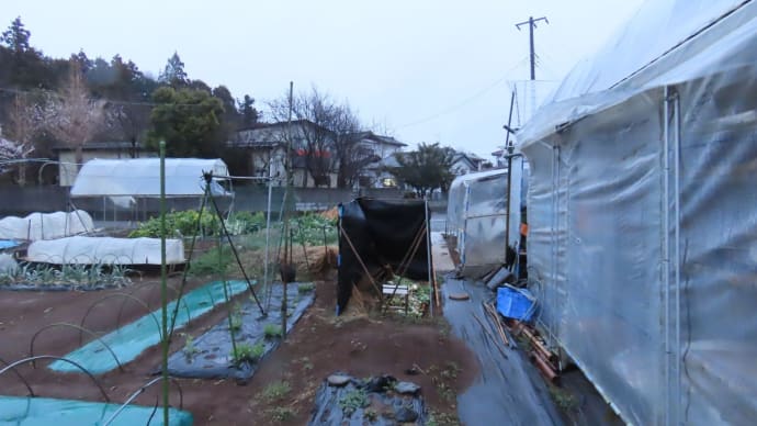 冷たい雨の水曜日