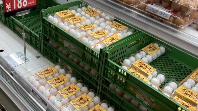 卵🥚