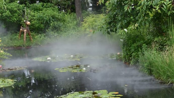 西武デパート屋上モネの池 睡蓮の花とミストの霧が素晴らしい 9