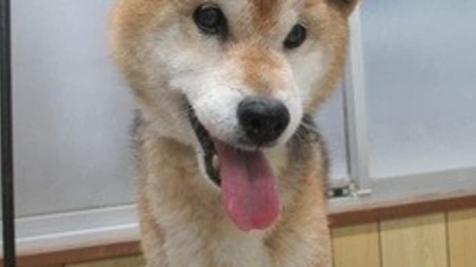 雨だと乾かなくって困っちゃうね~!!
