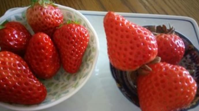 兵士は一人も死んではいけない