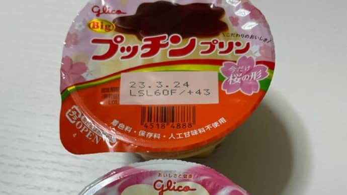 プッチンプリン