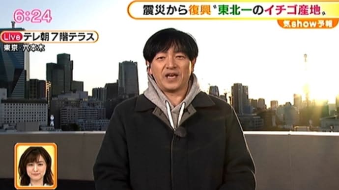 宮城県産とちおとめ
