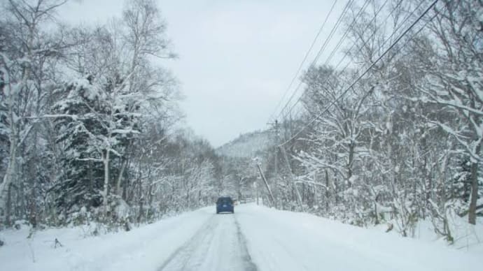 北海道。。雪だってよ🙄　