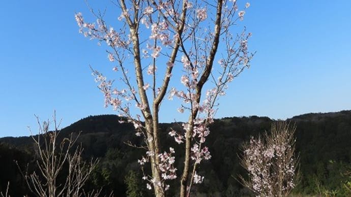 越生散策・・・③