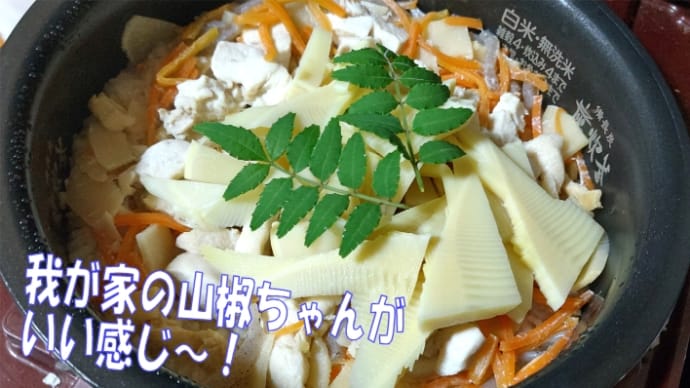 春はタケノコ気分は春🌹食感ギュリギュリ・・・旬のタケノコめし・・・京都長岡京市
