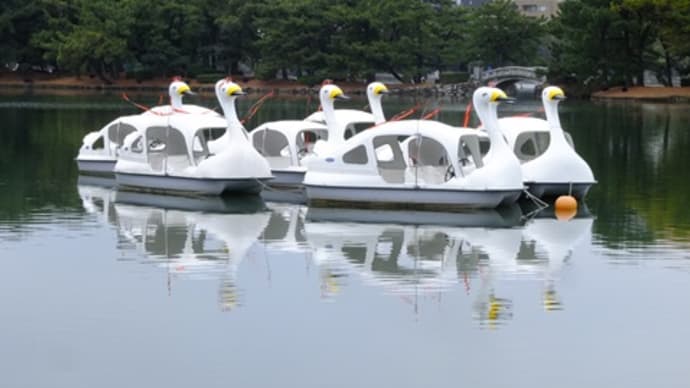 2☔ 🚄白ソ🚈ゆ森 🚇🦆🛬