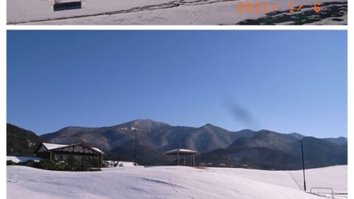 蒲原平野の自然 2021年1月その2