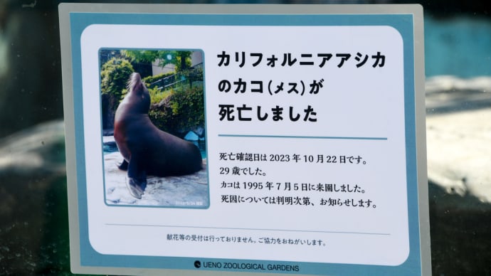 カコさん がんばったね