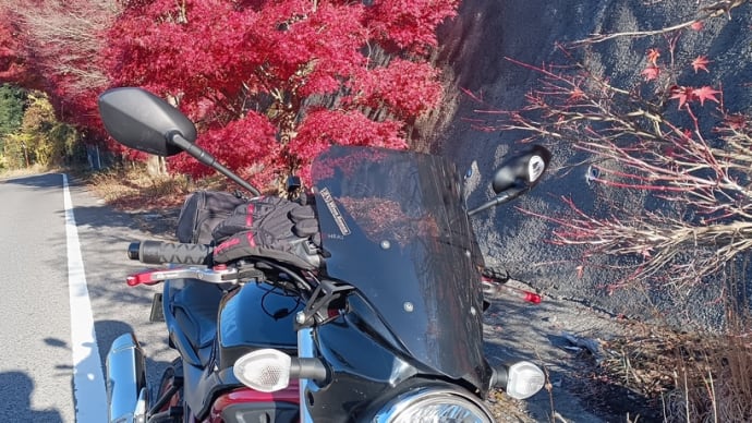 今年最後の紅葉を見てきました~
