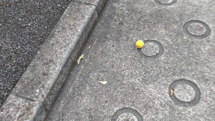 ☆どこにいたの!?☆