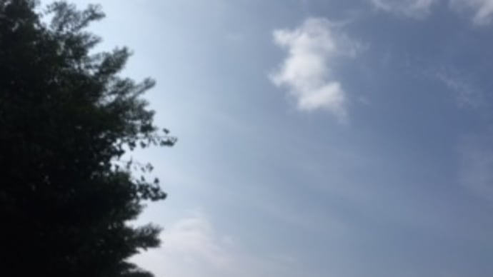 がっかりだよ