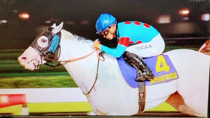 🐴おうまさん(24/4/25) 👑東京プリンセス賞・🌟エトワール賞