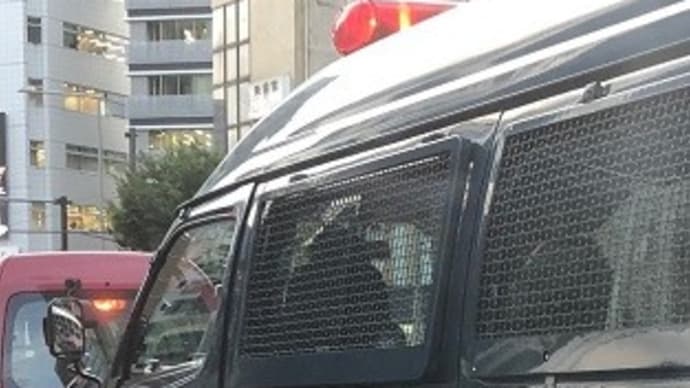青山通りで見かけた警察車両