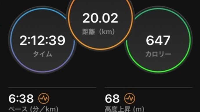 ゆっくり20km走
