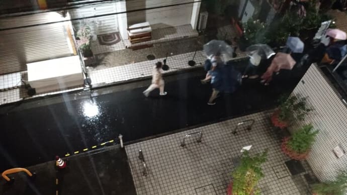 何で俺の休みの日にかなりの高確率で雨が降ってんだよー、こなもんへw