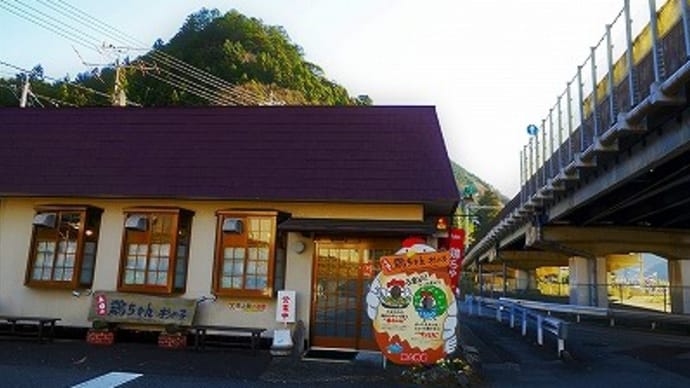 鶏ちゃんと漬物ステーキ「杉の子」