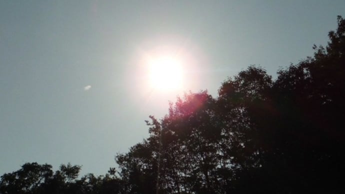 金環日食 見上げてみた空
