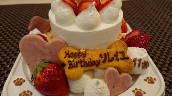 11歳になりました