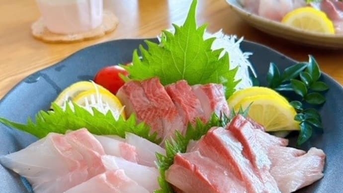 アコウ、ハマチ