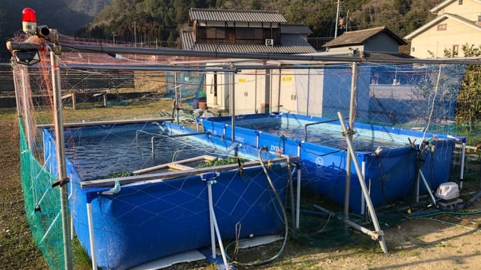 神河トラウト養殖場