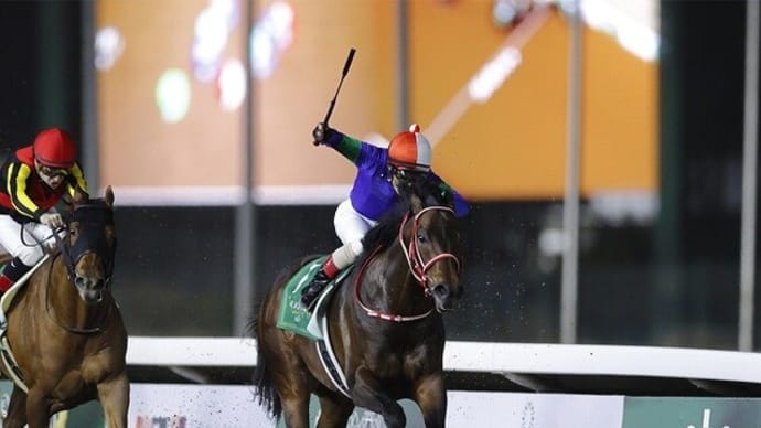 【パンサラッサ】あとはとにかくこの馬の競馬をするだけ!