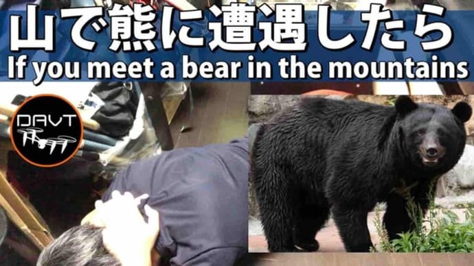 熊・クマに遭遇した時の対策方法｜登山