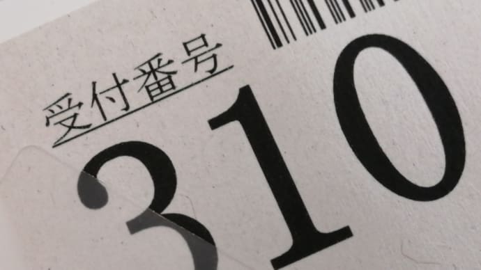 6月が嘘みたいな毎日