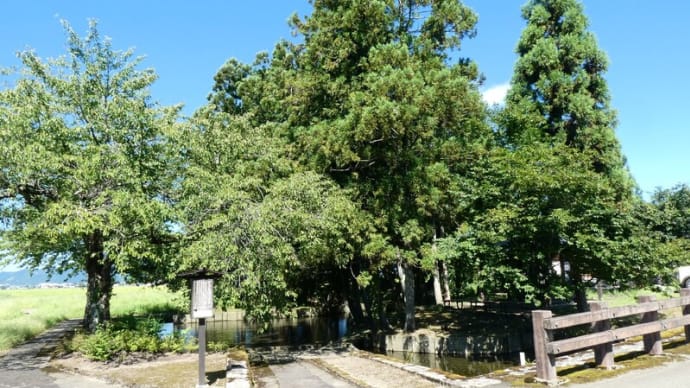 ★清水に涼みに行く!!(2023年8月)