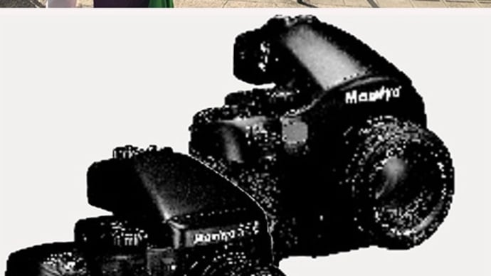 谷中でマミヤ中判カメラを提げた外人女性観光客を発見です。